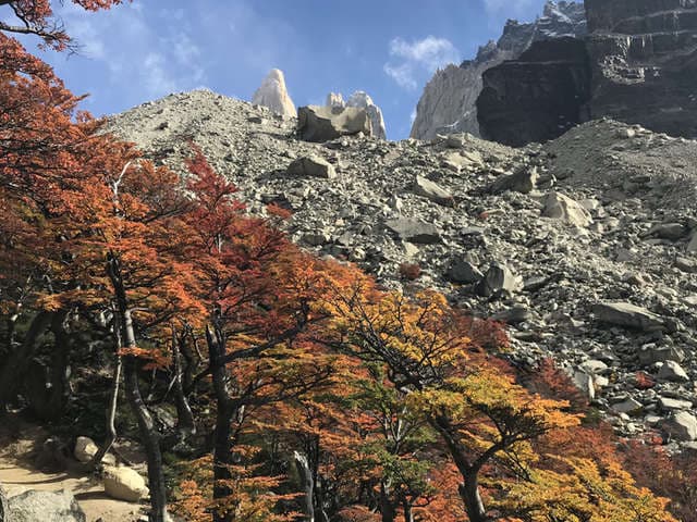 CLASSIC W TREK TORRES DEL PAINE 7 DAYS